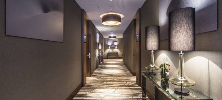 塔沃阿尔卑斯金酒店(AlpenGold Davos)图片