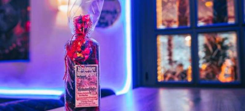 斯达克酒店(Hotel Starke)图片