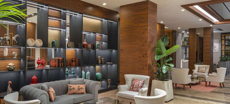 安卡拉基济莱美居酒店(Mercure Ankara Kizilay)图片