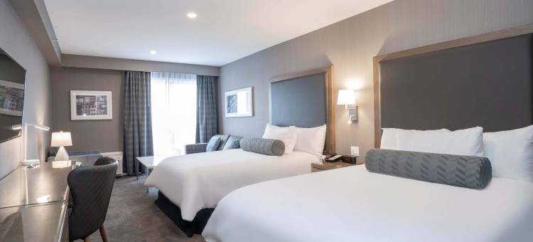 圣约翰桑德曼签名酒店(Sandman Signature St. John's Hotel)图片