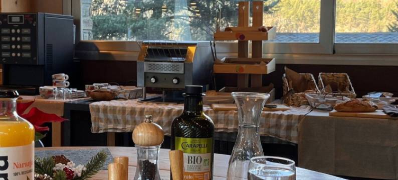 哥博公寓式酒店(Apartaments Giberga)图片