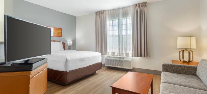 梅恩斯泰套房坦帕莫菲特-南佛罗里达大学(MainStay Suites Tampa Moffitt-USF)图片