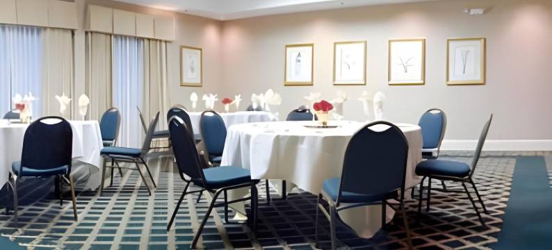 罗利卡瑞I-40沃尔纳特街假日套房酒店(Holiday Inn & Suites RALEIGH-CARY (I-40 @WALNUT ST) by IHG)图片