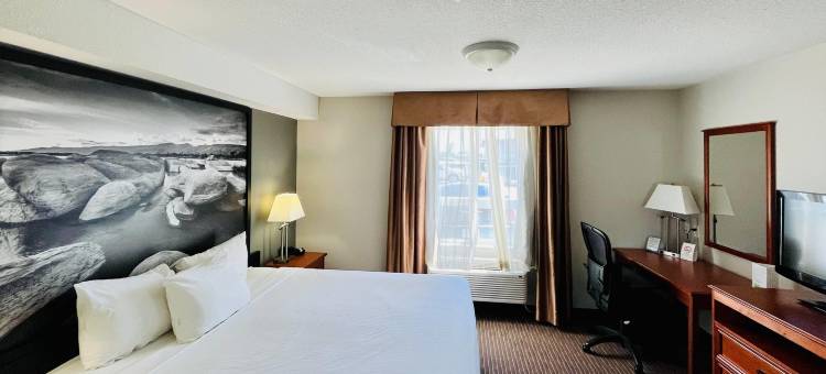 大草原城速8酒店(Super 8 by Wyndham Grande Prairie)图片