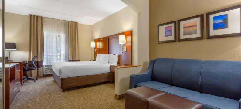 摄政公园舒适套房酒店(Comfort Suites Regency Park)图片