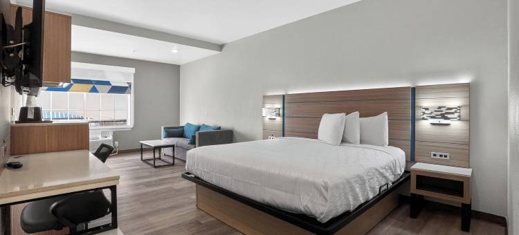 索内斯塔精选酒店休斯顿I-45春(Sonesta Essential Hotel Houston-I-45 Spring)图片