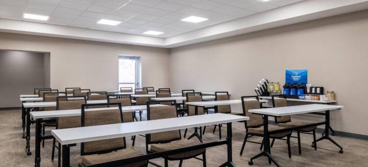 日内瓦斯派尔学院蔚景温德姆酒店(Wingate by Wyndham Geneva at Spire Academy)图片