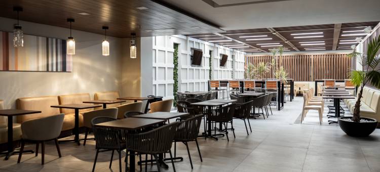 卡曼海滩智选假日套房酒店(Holiday Inn Express & Suites PLAYA DEL CARMEN by IHG)图片