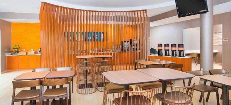哥伦比亚SpringHill Suites酒店(SpringHill Suites by Marriott Columbia Fort Meade Area)图片