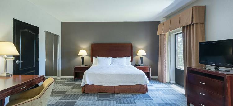 印第安纳波利斯/布朗斯堡欢朋套房酒店(Hampton Inn & Suites Indianapolis/Brownsburg)图片