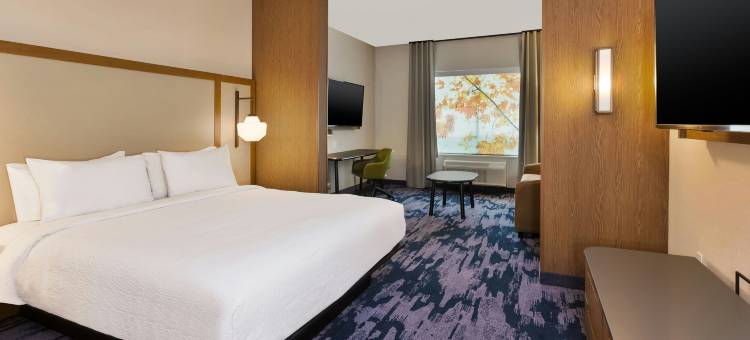 格兰德拉皮兹北万豪万枫套房酒店(Fairfield Inn & Suites Grand Rapids North)图片