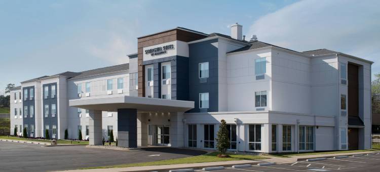 小石城西SpringHill Suites酒店(SpringHill Suites Little Rock West)图片