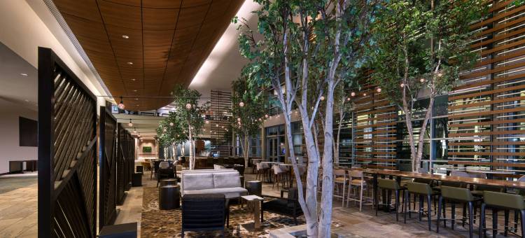波士顿海港区威斯汀酒店(The Westin Boston Seaport District)图片