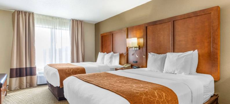 舒适套房酒店-大急流城北(Comfort Suites Grand Rapids North)图片