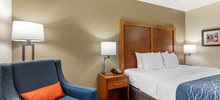 白宫舒适酒店(Comfort Inn White House)图片