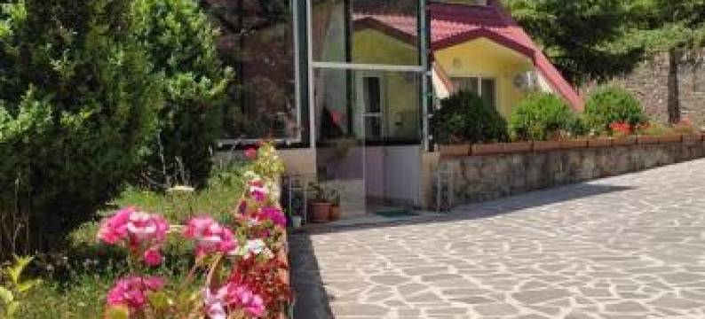 艾科瑞斯特 - 利卡尼帕拉斯酒店(EcoRest - Likani Palace)图片