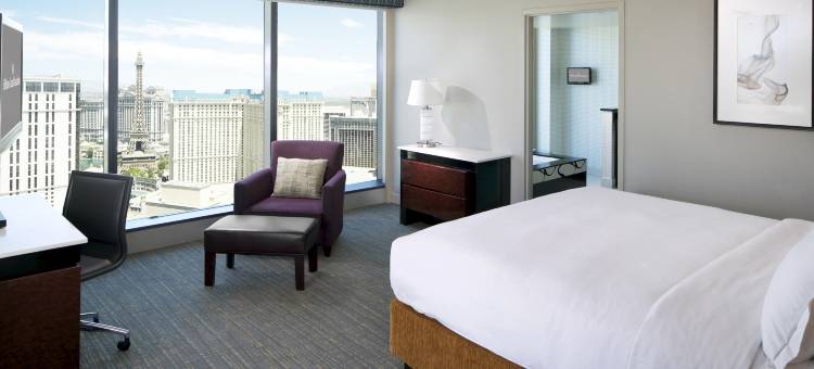拉斯维加斯伊拉拉中央大道希尔顿分时度假俱乐部(Hilton Grand Vacations Club Elara Center Strip Las Vegas)图片