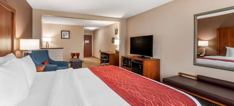 劳伦斯堡舒适酒店(Comfort Inn & Suites)图片