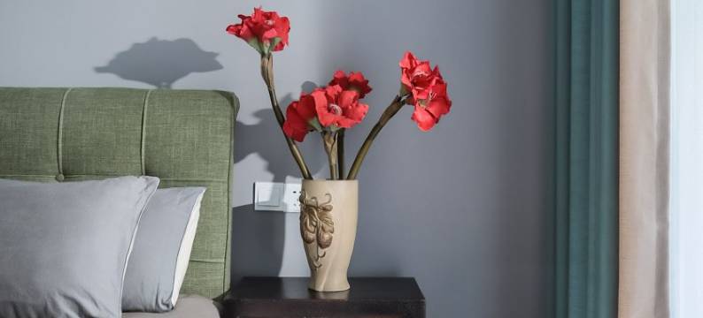 梧桐语民宿(南京东关头路分店)图片