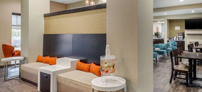 近威斯切斯舒眠套房酒店(Sleep Inn & Suites Near Westchase)图片