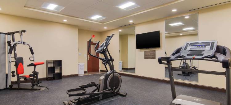 舒适套房酒店(Comfort Inn & Suites)图片