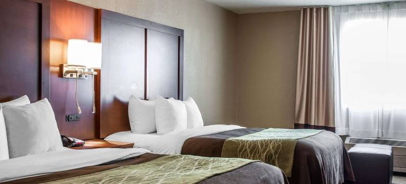 舒适酒店(Comfort Inn)图片