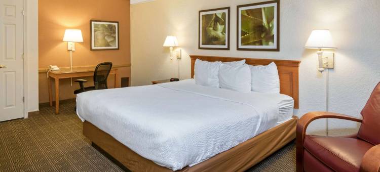 圣安东尼奥市场广场拉昆塔温德姆酒店(La Quinta Inn by Wyndham San Antonio Market Square)图片