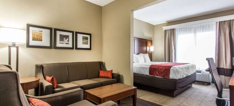 埃芬汉舒适套房酒店(Comfort Suites Effingham)图片