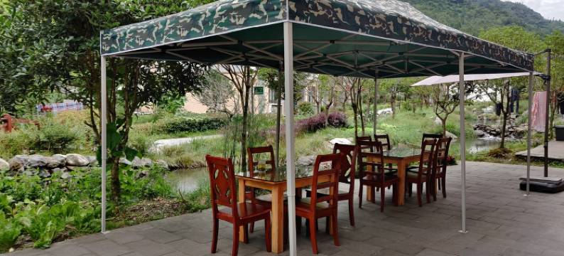 罗国文特色民宿(蜂大路分店)图片