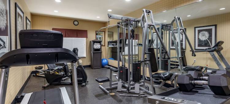 DFW机场西尤里斯贝斯特韦斯特优质酒店(Best Western Plus DFW Airport West Euless)图片