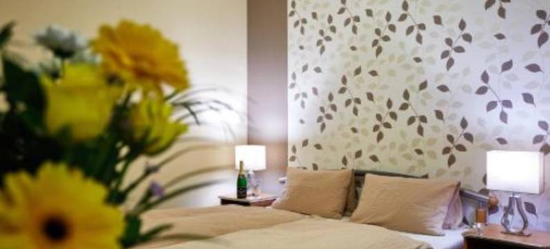 施朗斯酒店(Hotel Slunce)图片