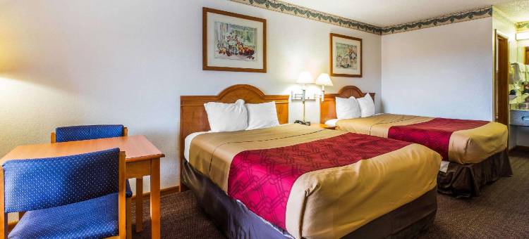 伊克诺套房旅馆(Econo Lodge Inn & Suites)图片