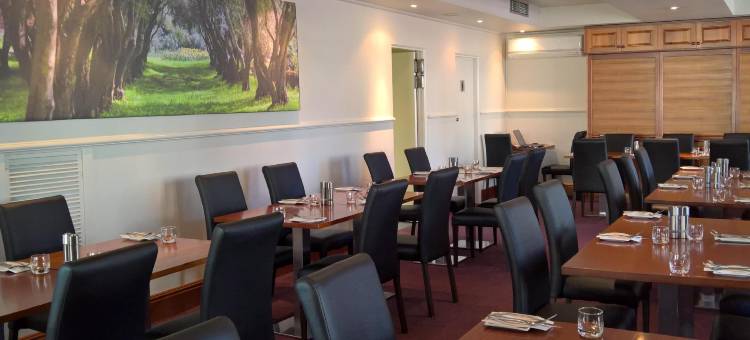 辛格顿中城动力酒店(Mid City Motor Inn Singleton)图片