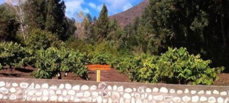 Cabañas Aldea Memé图片