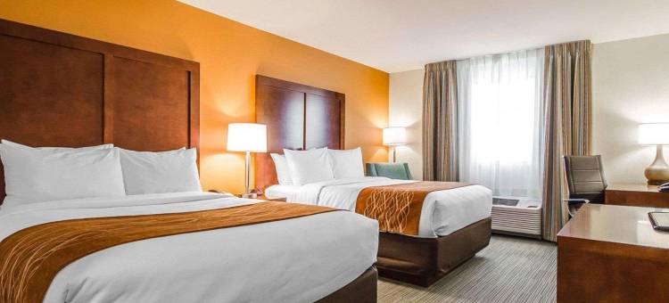 舒适酒店(Comfort Inn)图片