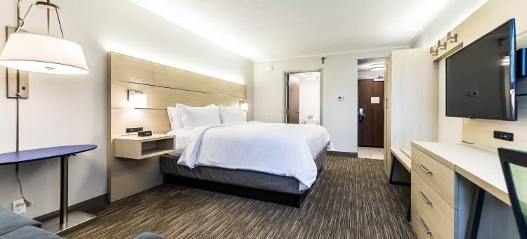 Holiday Inn Express 火石校园面积(Holiday Inn Express Flint-Campus Area)图片