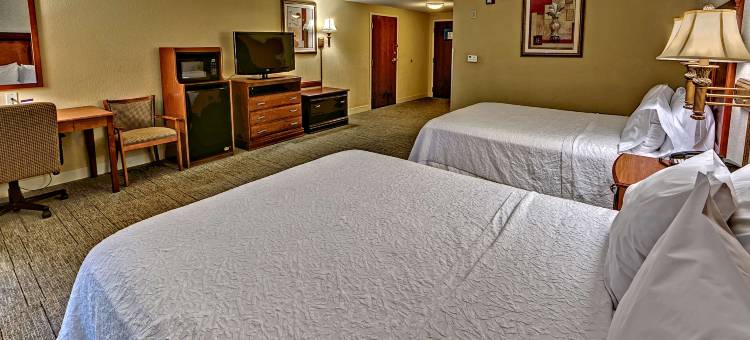 希尔顿欢朋酒店-曼宁(Hampton Inn Manning)图片