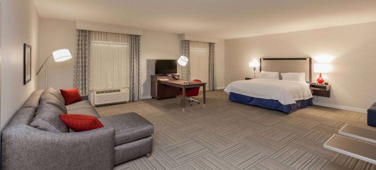 艾默生湖滨欢朋酒店(Hampton Inn Emerson LakePoint)图片