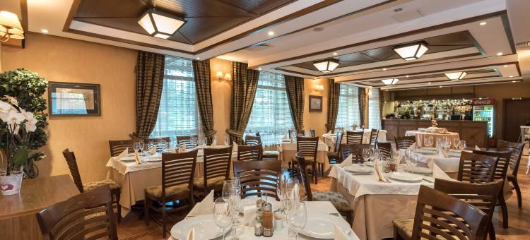 埃维莉娜宫殿酒店(Evelina Palace Hotel)图片