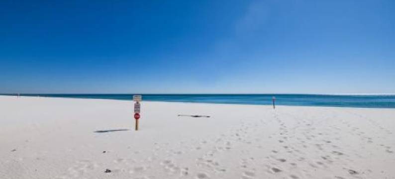 Grand Caribbean in Perdido Key 111E by Vacation Homes Collection图片