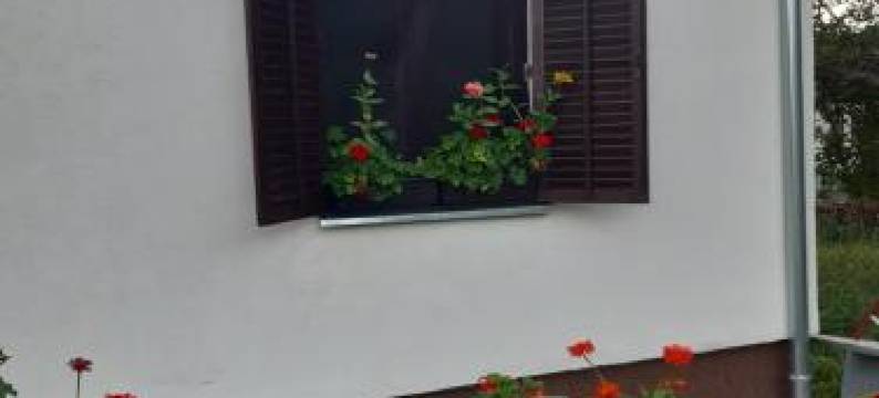 Seosko turističko domaćinstvo Stojković图片