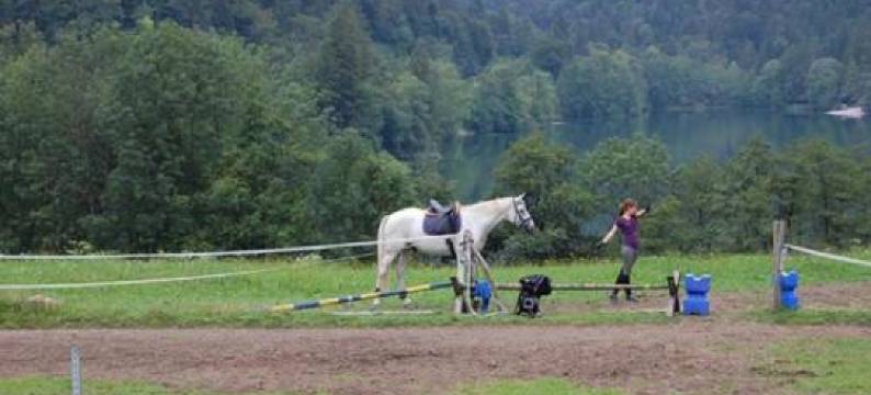 Hotel- Pension Oechsner图片