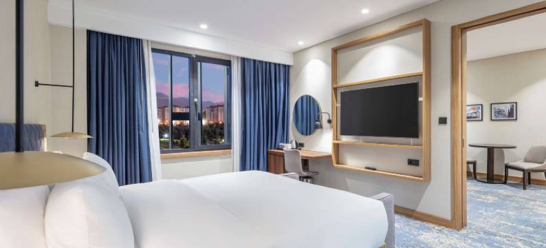 埃尔祖鲁姆希尔顿花园酒店(Hilton Garden Inn Erzurum)图片