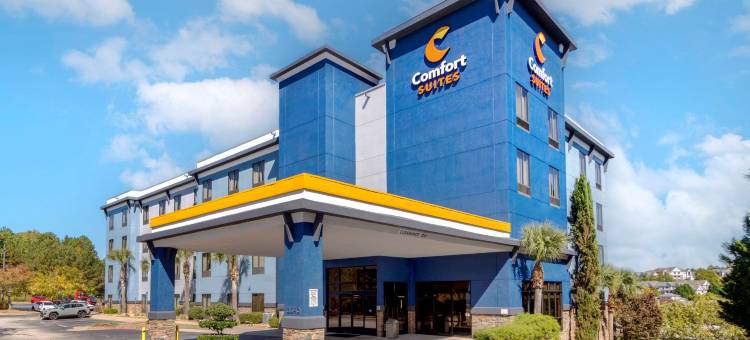 亚特兰大南斯托克布里奇舒适套房酒店(Comfort Suites Stockbridge Atlanta South)图片
