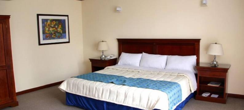 特瓦坎广场酒店(Hotel Tehuacan Plaza)图片