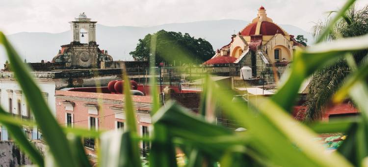 瓦哈卡埃斯孔迪多瓦哈卡酒店 - 设计酒店会员(Hotel Escondido Oaxaca, a Member of Design Hotels)图片