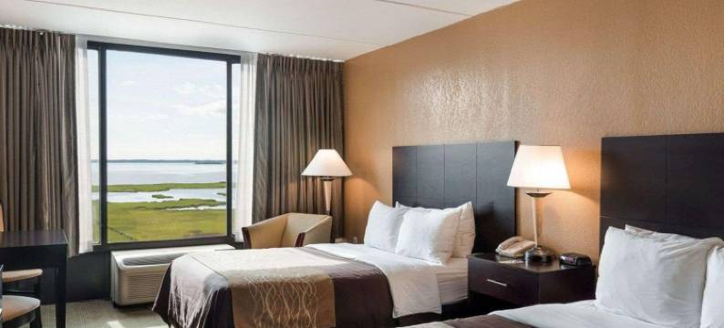 黄金海岸舒适酒店(Comfort Inn Gold Coast)图片