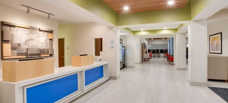 智选假日套房酒店坦帕展览会场娱乐场by IHG(Holiday Inn Express & Suites TAMPA-FAIRGROUNDS-CASINO by IHG)图片