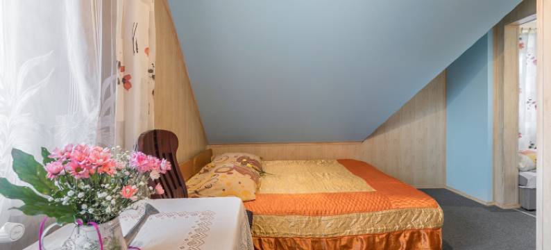 斯米尔雷克酒店(Smyrecek-Centrum Bukowiny)图片