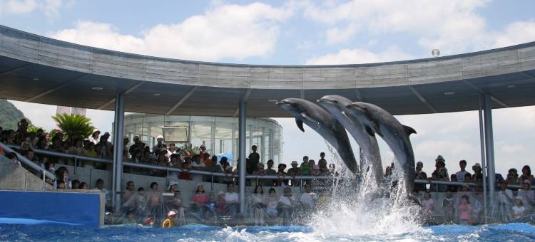 别府湾和蔵格兰德里奥酒店(Grandvrio Hotel Beppuwan Wakura - Route Inn Hotels -)图片